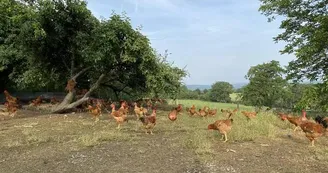 La Ferme d'Eliette