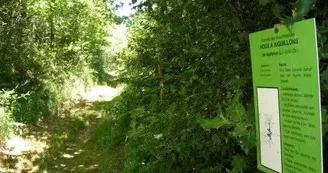 Sentier botanique d'Arvieu
