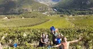 Domaine du Vieux Noyer