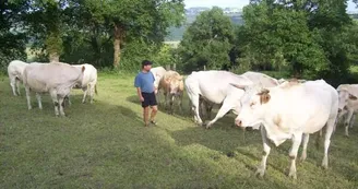 La ferme de Tessi