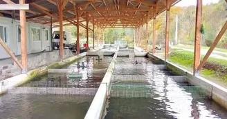 Pisciculture d'Estaing