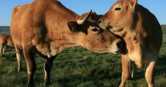 La Ferme des Clauzels
