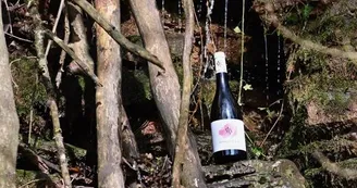 Domaine de Bias