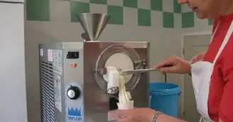 Glace artisanale au lait de brebis