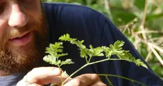 Les jardins de l'instant végétal : cueillette de fleurs sauvages