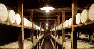 Visite des caves Roquefort Société Visite des caves Roquefort Société