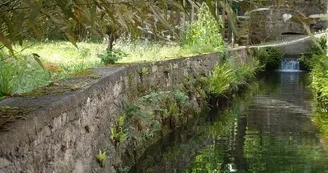 Pisciculture le Moulin de Gourjan