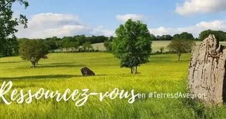 Office de Tourisme Terres d'Aveyron