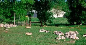 Visite Ferme des Cazalous