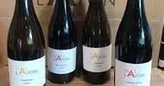 Vins du Mas Lafon