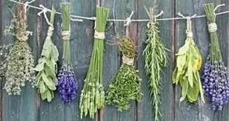 Le chaudron aux bonnes herbes