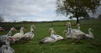 La Ferme de Cabrol