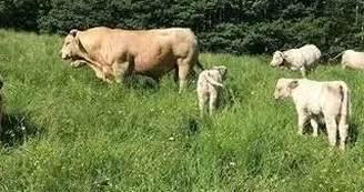 La Ferme Lou Brenac