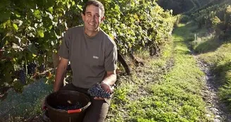 Domaine Mousset (Vins d'Entraygues - Le Fel)