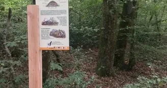 Sentier d'interprétation du bois du Bruel - Vabre-Tizac