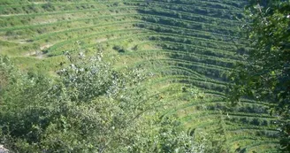 Domaine du Val Enchanté