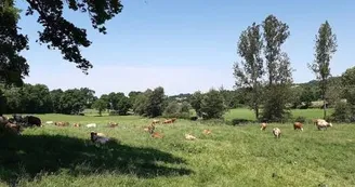 GAEC Fabié- Colis de viande