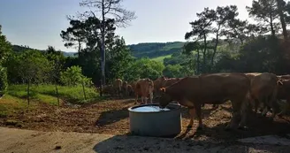 IRVA - Visites de ferme en Ségala