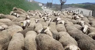 Le Fermier Gourmand Le Fermier Gourmand