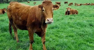 Ferme Bio Cadas Emmanuel
