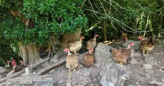 Visite à la ferme Chez Sylvie et Jean-Louis