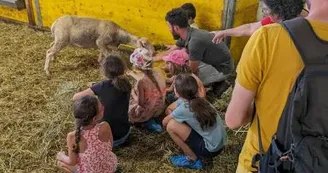 Visite à la ferme Alice et Sylvain avec leur troupeau de brebis laitières
