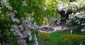 Le Jardin des plantes de Mourot