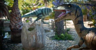 dino2 - photo tendance