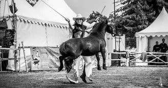 Ecuries Estelucia spectacle MONDAVEZAN