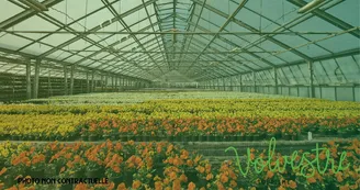 Horticulture