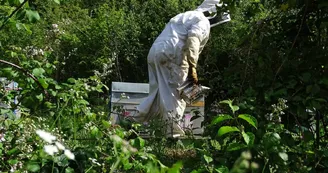 La commingeoise-agassac-miel