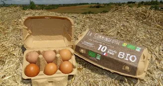 La commingeoise-agassac-oeufs