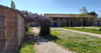ferle 50 RAMONVILLE