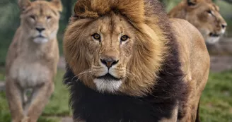 Credit Photo Mathieu Pujol -African Safari  (5)