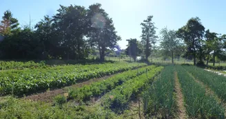 Jardin--Les-Jardins-du-Flouran--L-Isle-en-Dodon