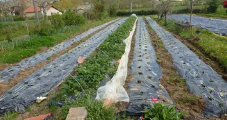 Les-jardins-du-Flouran--l-Isle-en-Dodon