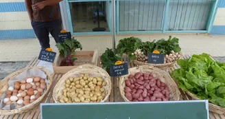 marche--Les-jardins-du-Flouran--L-Isle-en-Dodon