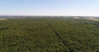 foret de BUZET Léo MORA