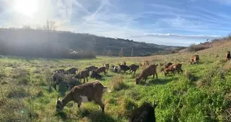 La ferme de Soépi La ferme de Soépi