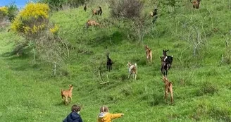 La ferme de Soépi La ferme de Soépi