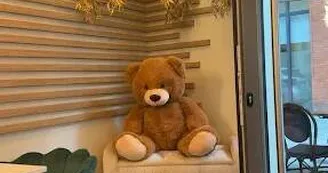 TEDDY 3