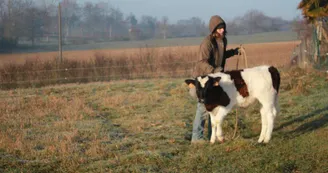 Ferme La Monge, l'Isle-En-Dodon (2)