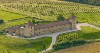 domaine