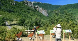 Observatoire des vautours