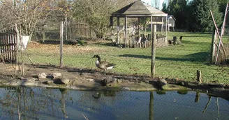 PARC DE LA MATARELLE