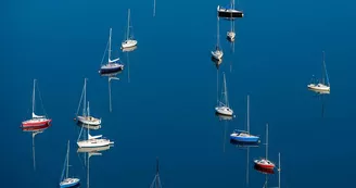 voiles