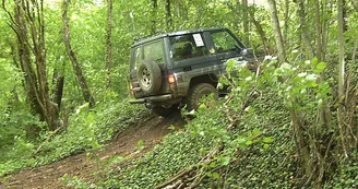 Cobra 4x4 à Cohons