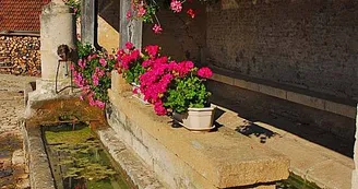 Lavoir de Ternat Lavoir de Ternat
