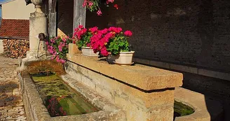 Lavoir de Ternat Lavoir de Ternat