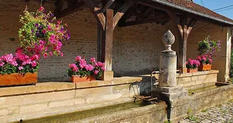 Lavoir de Ternat Lavoir de Ternat